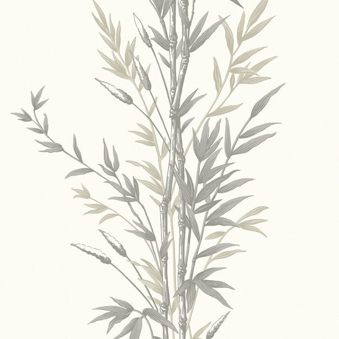 Sample 100/5025 Bamboo Cole and Son Wallpaper