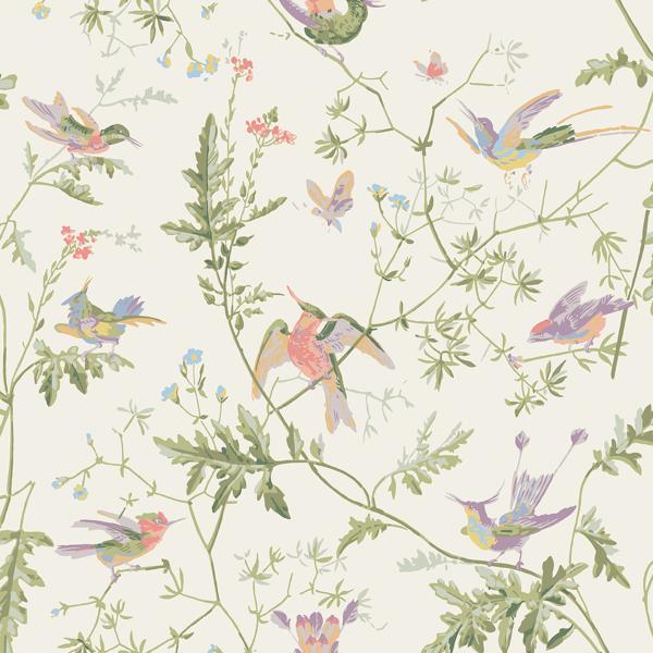 Find 100/14067 Cs Hummingbirds Soft Multi Colour By Cole and Son Wallpaper