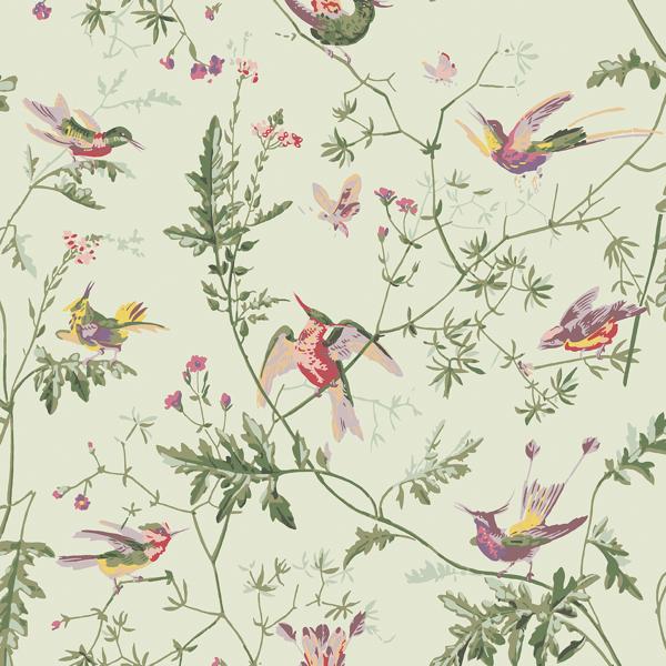 Save on 100/14070 Cs Hummingbirds Green Multi Colour By Cole and Son Wallpaper