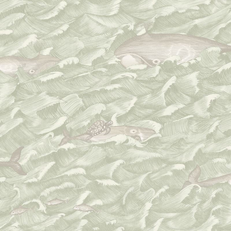 Sample 103/1001 Melville Cole and Son Wallpaper
