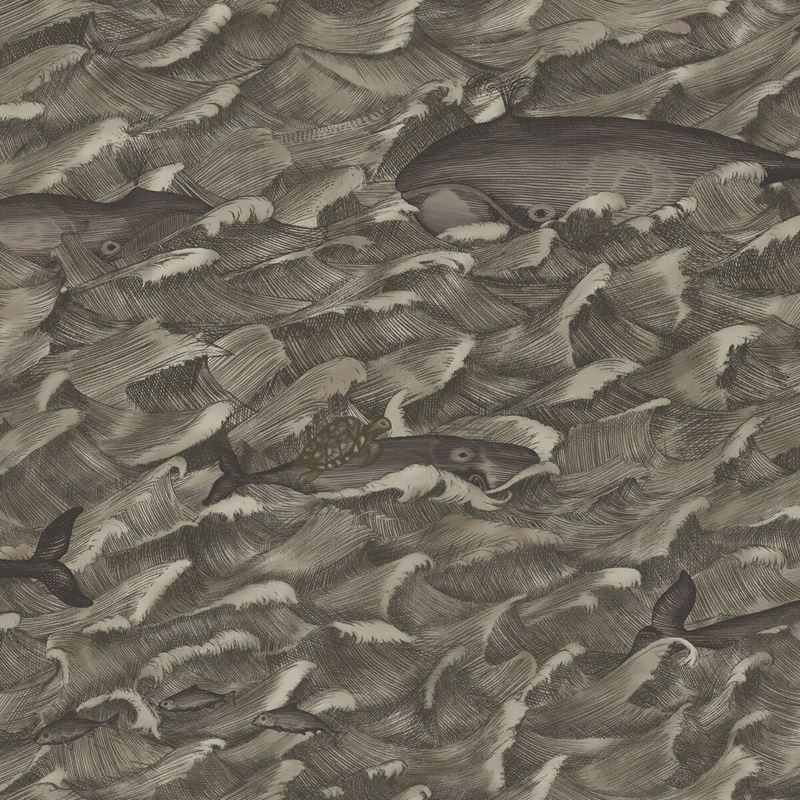 Sample 103/1005 Melville Cole and Son Wallpaper