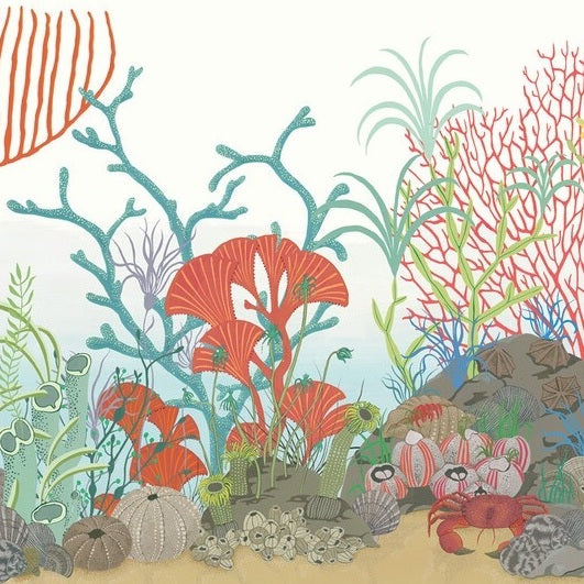 Sample 103/12054 Archipelago Brd Cole and Son Wallpaper