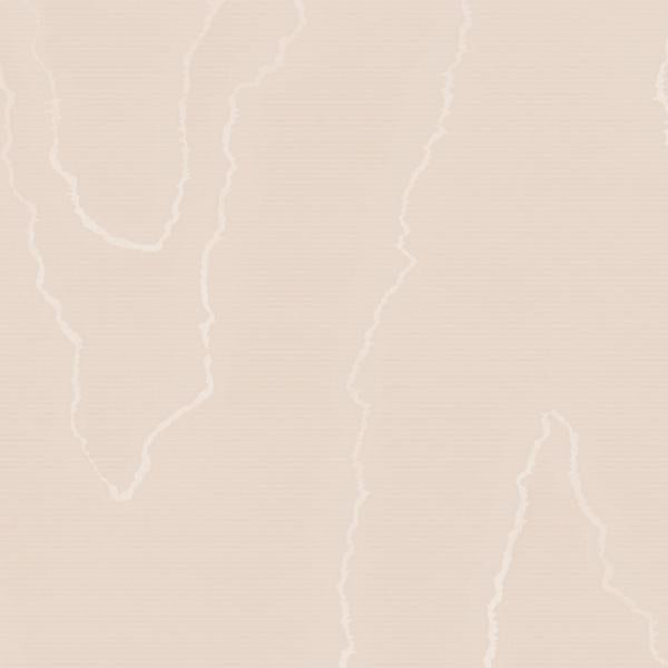 Sample 106/1007 Watered Silk Salmon by Cole and  Son