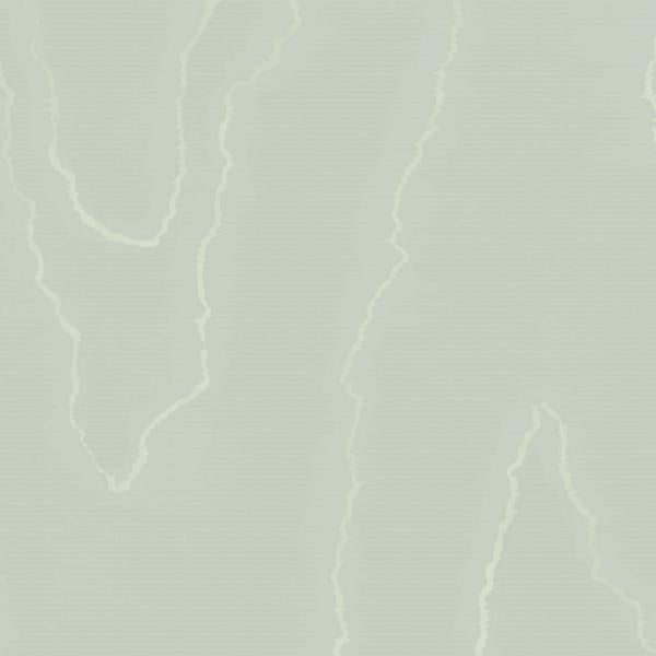 Looking for 106/1013 Cs Watered Silk Duck Egg By Cole and Son Wallpaper