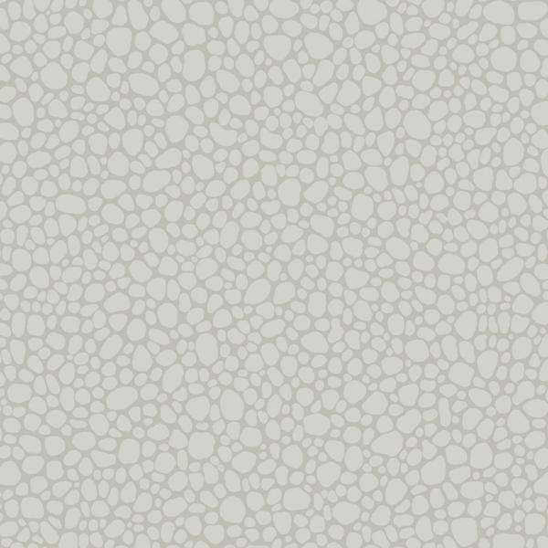 Sample 106/2017 Pebble Pale Grey by Cole and  Son