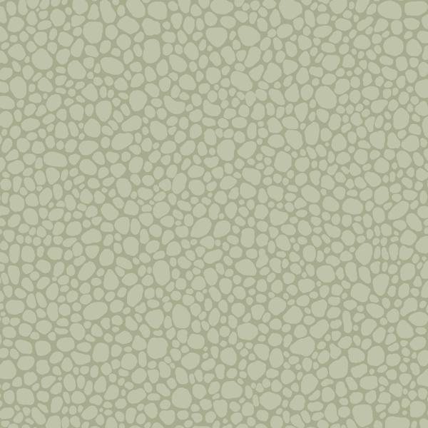 Sample 106/2027 Pebble Sage by Cole and  Son