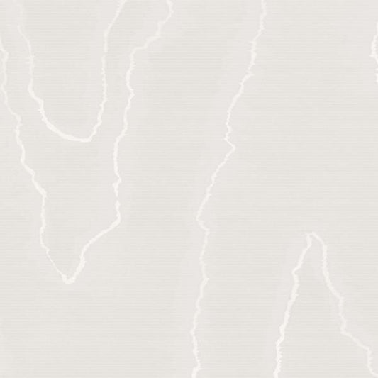 Find 106/1001 Cs Watered Silk Silver By Cole and Son Wallpaper