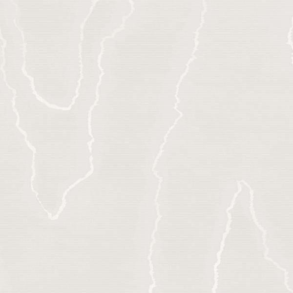 Sample 106/1001 Watered Silk Silver by Cole and  Son