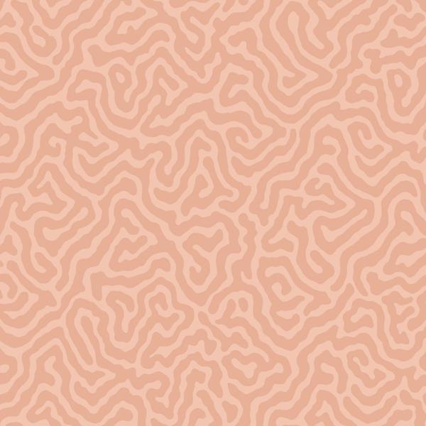Sample 106/5075 Coral Salmon by Cole and  Son