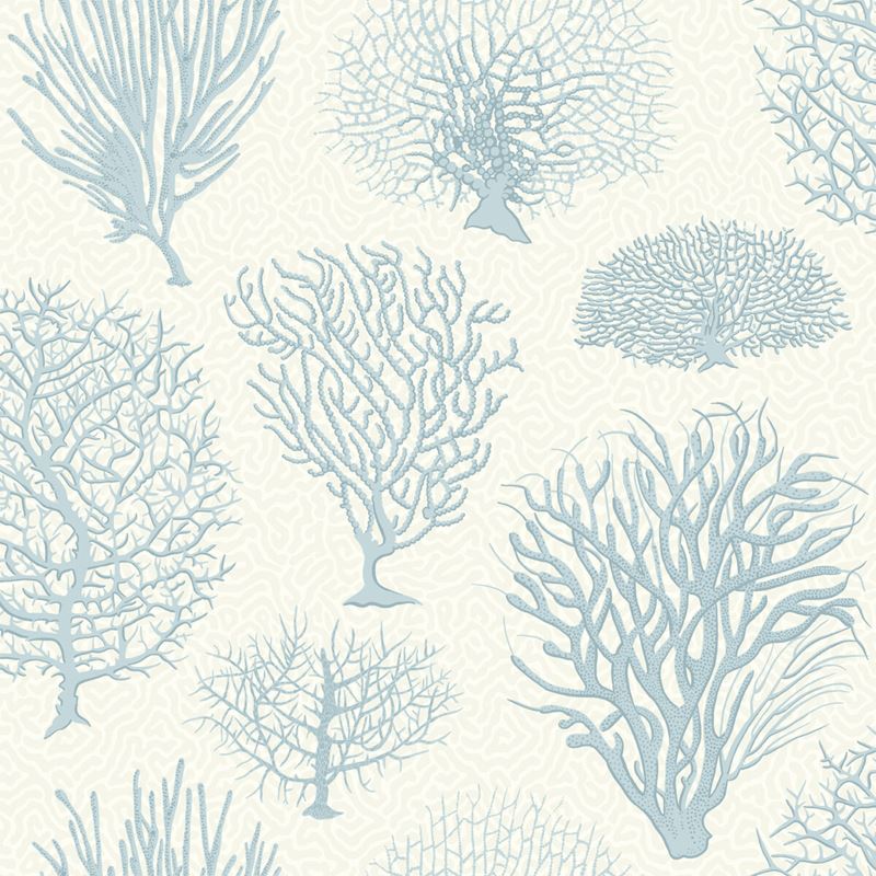 Sample 107/2009 Seafern Blue by Cole and  Son