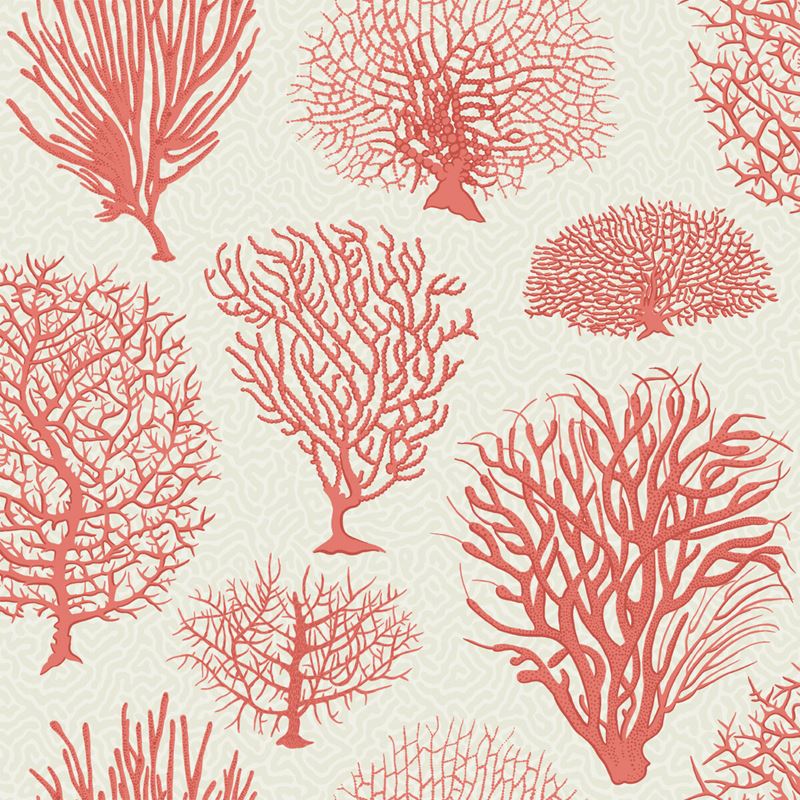 Sample 107/2011 Seafern Coral by Cole and  Son