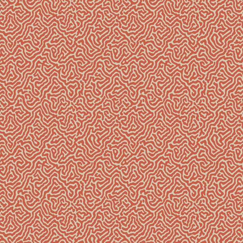 Sample 107/4018 Vermicelli Coral by Cole and  Son