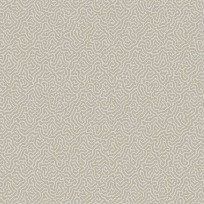 Sample 107/4019 Vermicelli Stone by Cole and  Son