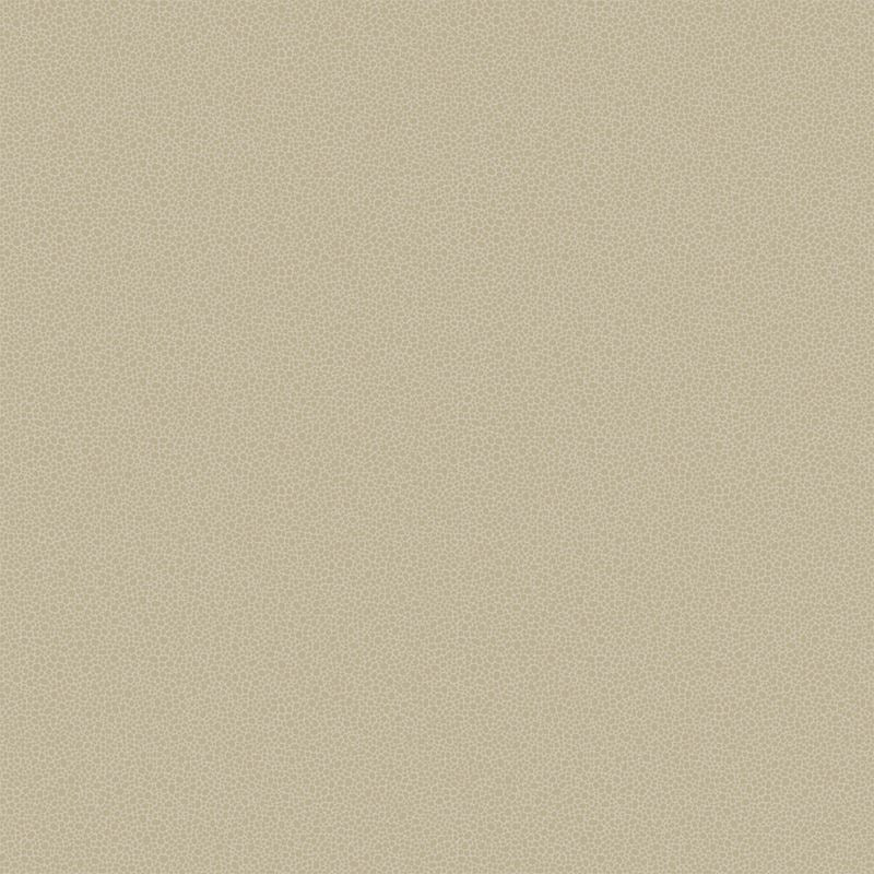 Sample 107/9042 Goldstone Stone and  Gilver by Cole and  Son