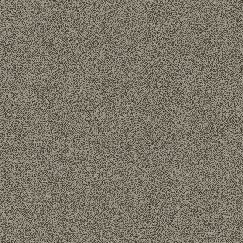 Sample 107/9043 Goldstone Black and  Silver by Cole and  Son