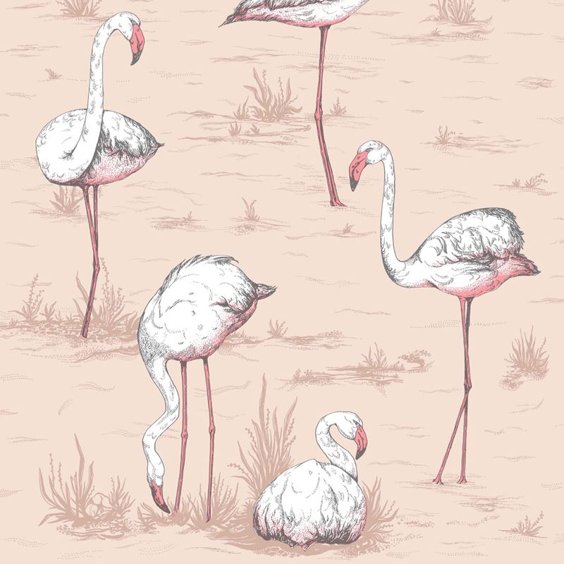 Sample 112/11039 Flamingos Plaster Pink by Cole and Son