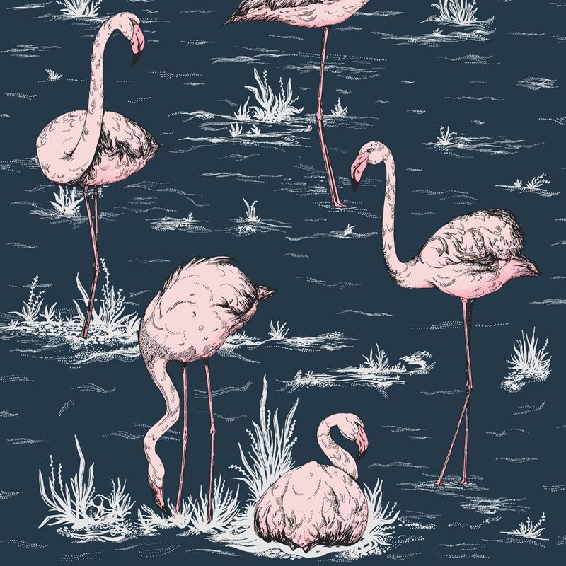Sample 112/11041 Flamingos Ink/Plaster Pink by Cole and Son