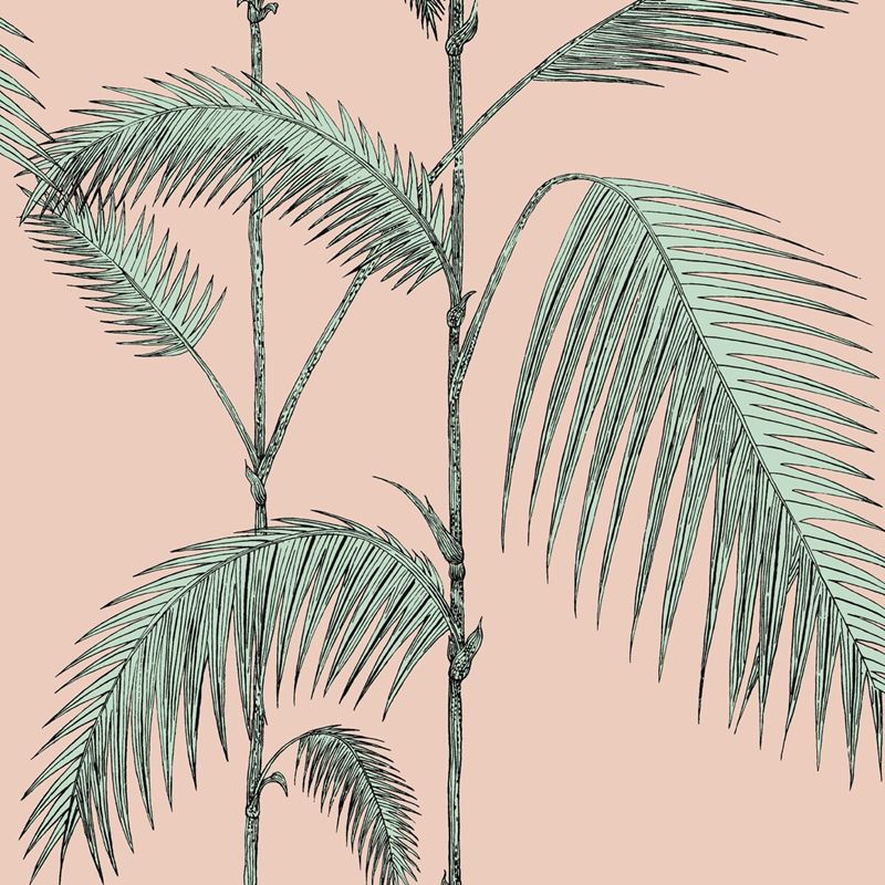 Sample 112/2005 Palm Leaves Plaster Pink/Mint by Cole and Son