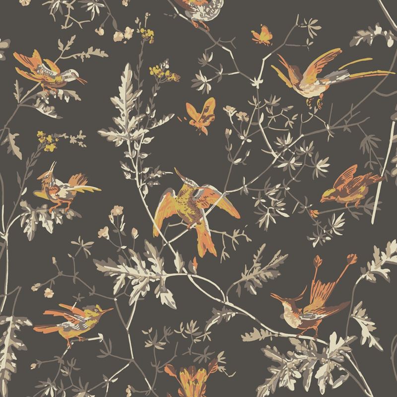 Sample 112/4017 Hummingbirds Charcoal/Ginger by Cole and Son