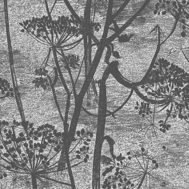 Sample 112/8026 Cow Parsley Charcoal by Cole and Son