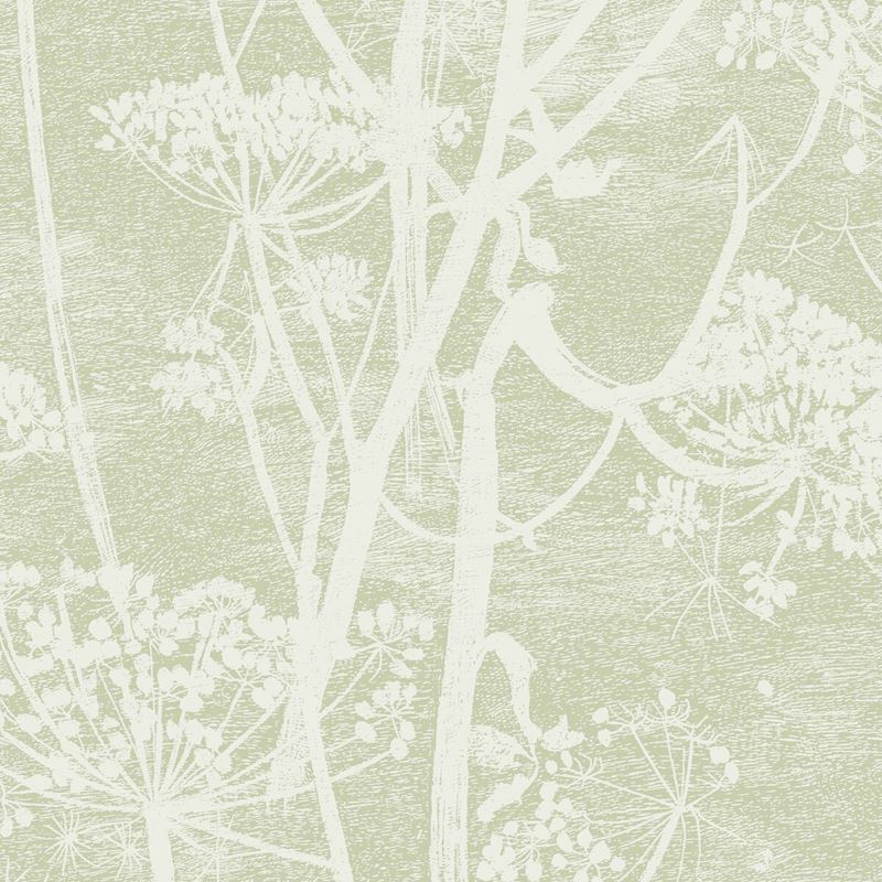 Sample 112/8029 Cow Parsley Olive by Cole and Son