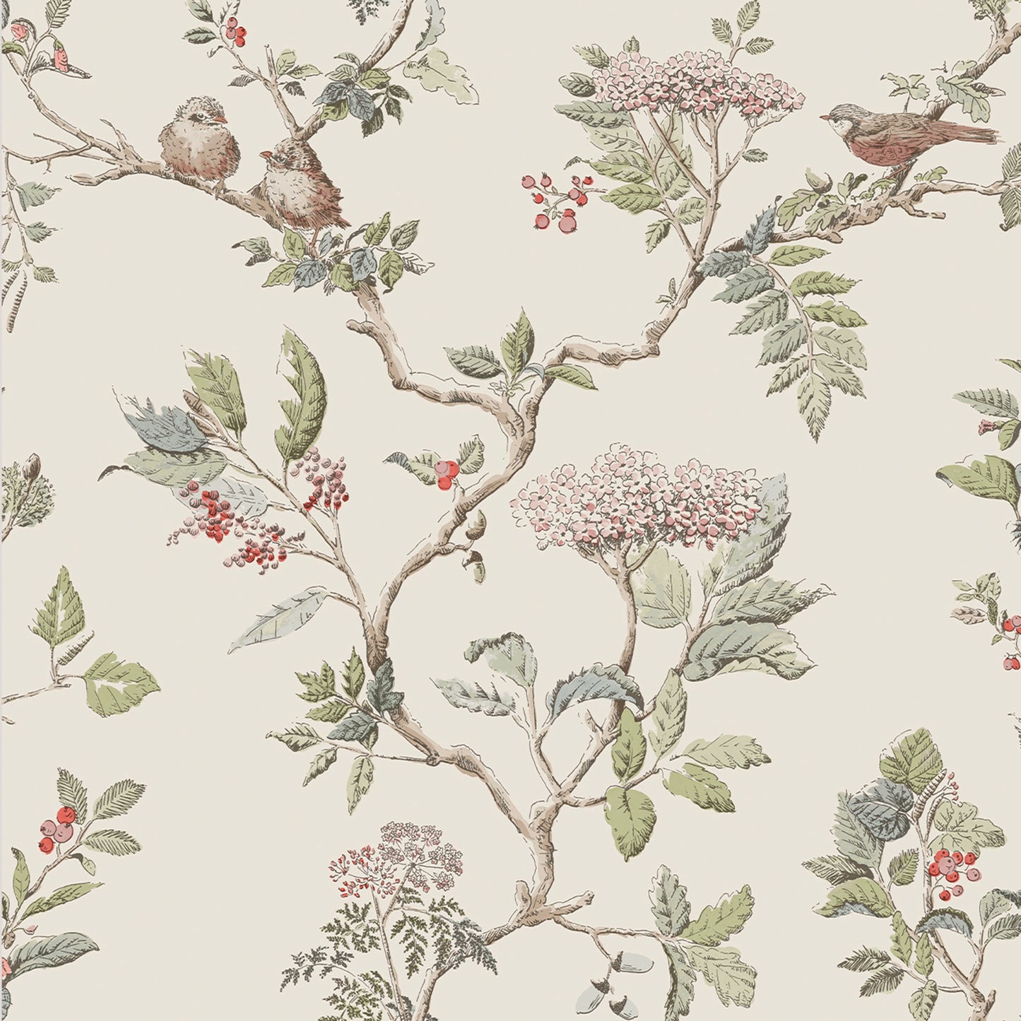 Purchase Laura Ashley Wallpaper Item# 113346 Elderwood Natural