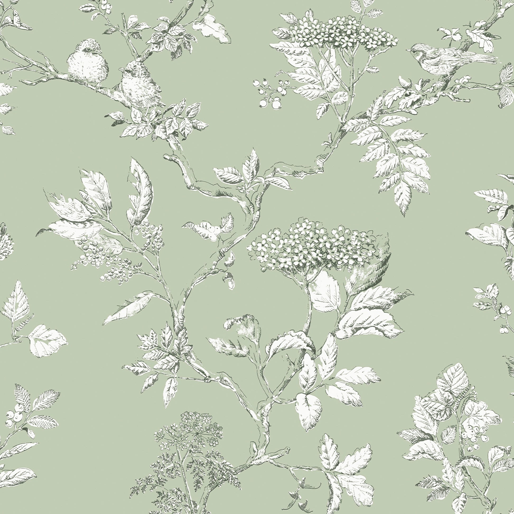 Purchase Laura Ashley Wallpaper Product# 113348 Elderwood Sage