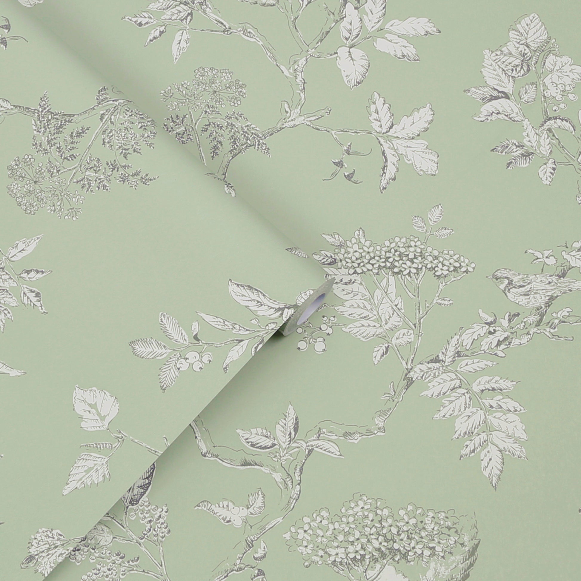 Purchase Laura Ashley Wallpaper Product# 113348 Elderwood Sage