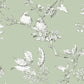 Purchase Laura Ashley Wallpaper Product# 113348 Elderwood Sage