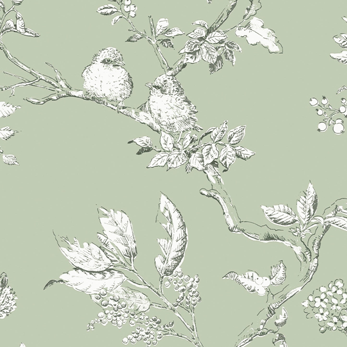 Purchase Laura Ashley Wallpaper Product# 113348 Elderwood Sage