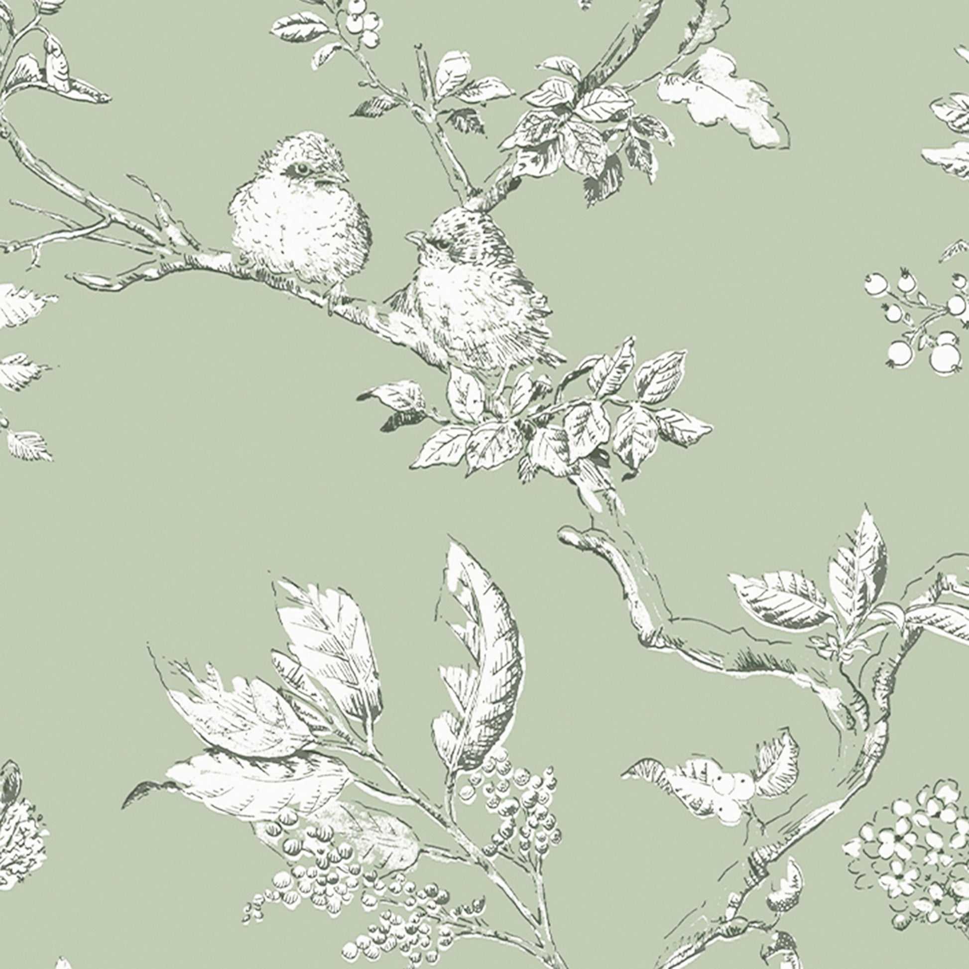 Purchase Laura Ashley Wallpaper Product# 113348 Elderwood Sage