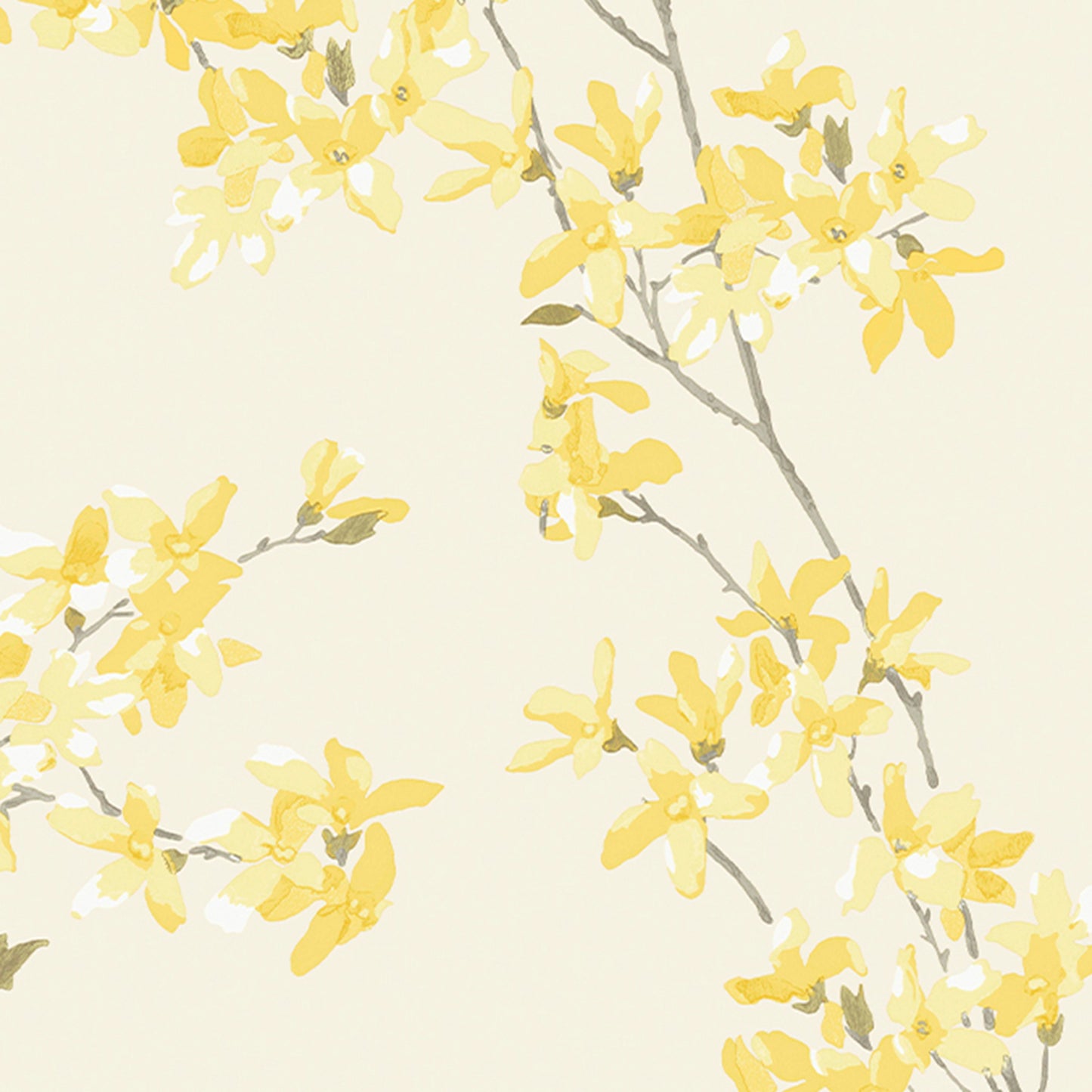 Purchase Laura Ashley Wallpaper SKU# 113350 Forsythia Sunshine