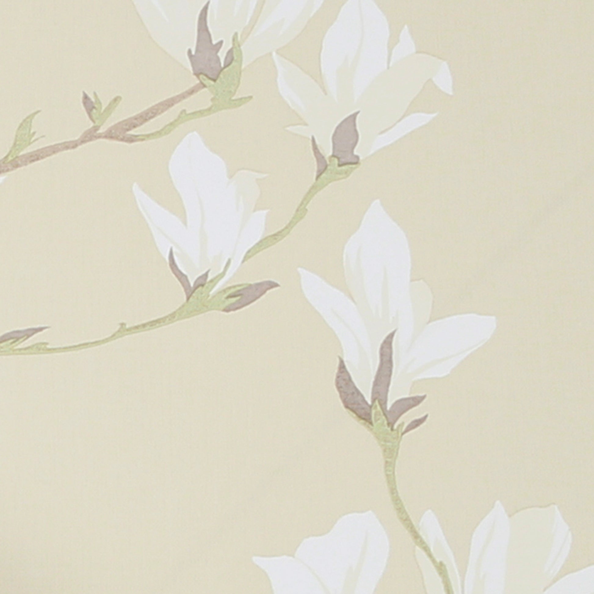 Purchase Laura Ashley Wallpaper Product 113353 Magnolia Grove Natural