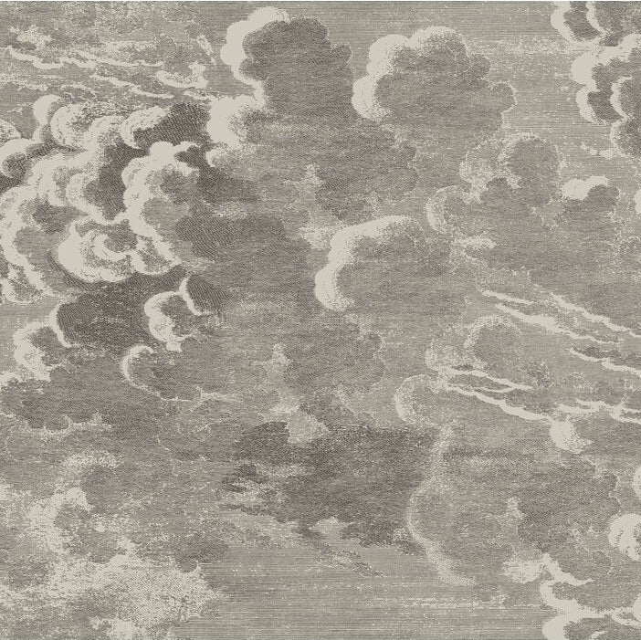 Sample 114-2004 Nuvolette, Gilver and Charcoal Print by Cole and Son Wallpaper