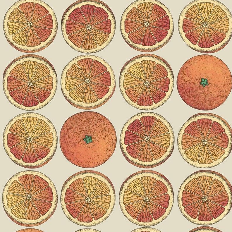 Sample 114/24047 Arance Orange Cole and Son Wallpaper