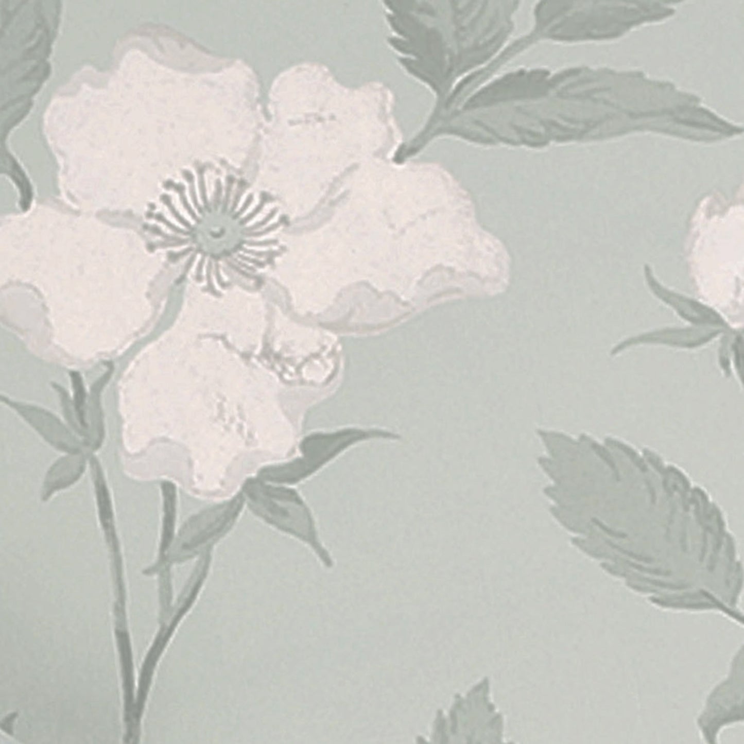 Purchase Laura Ashley Wallpaper Pattern 114917 Fleurir Smoke Green