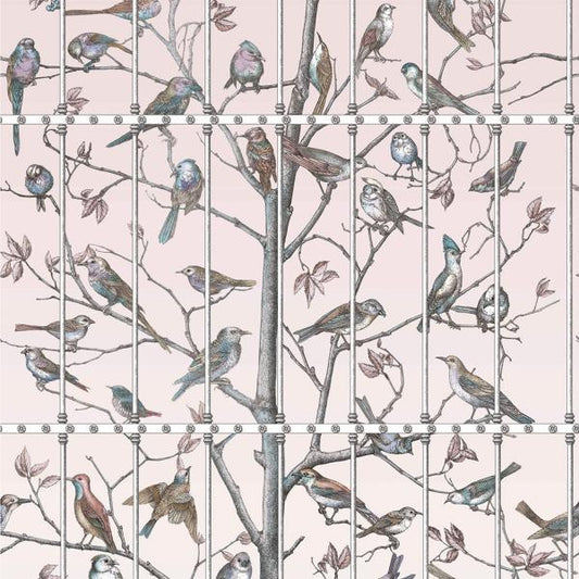 Save on 114/11022 Cs Uccelli Ballet Slipper By Cole and Son Wallpaper
