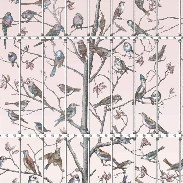 Sample 114-11022 Uccelli, Ballet Slipper Print by Cole and Son Wallpaper