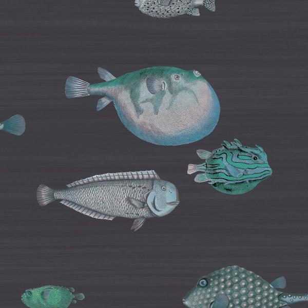 Sample 114/16032 Acquario Multi Color Cole and Son Wallpaper