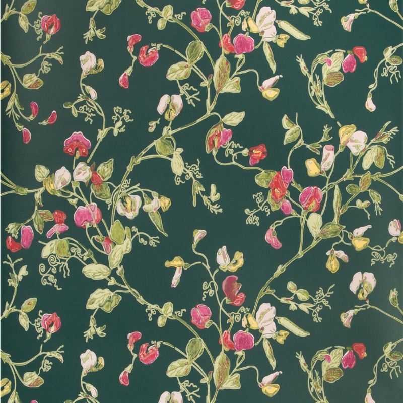 Sample 115-11033 Sweet Pea, Cerise Magen Vrdn Print by Cole and Son Wallpaper