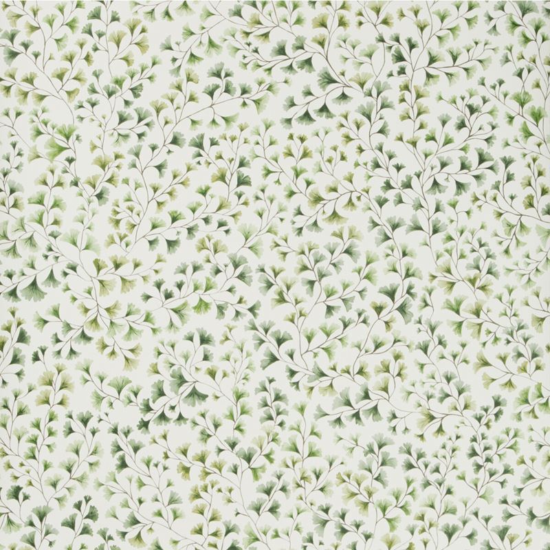 Sample 115-6018 Maidenhair, Olive Print by Cole and Son Wallpaper