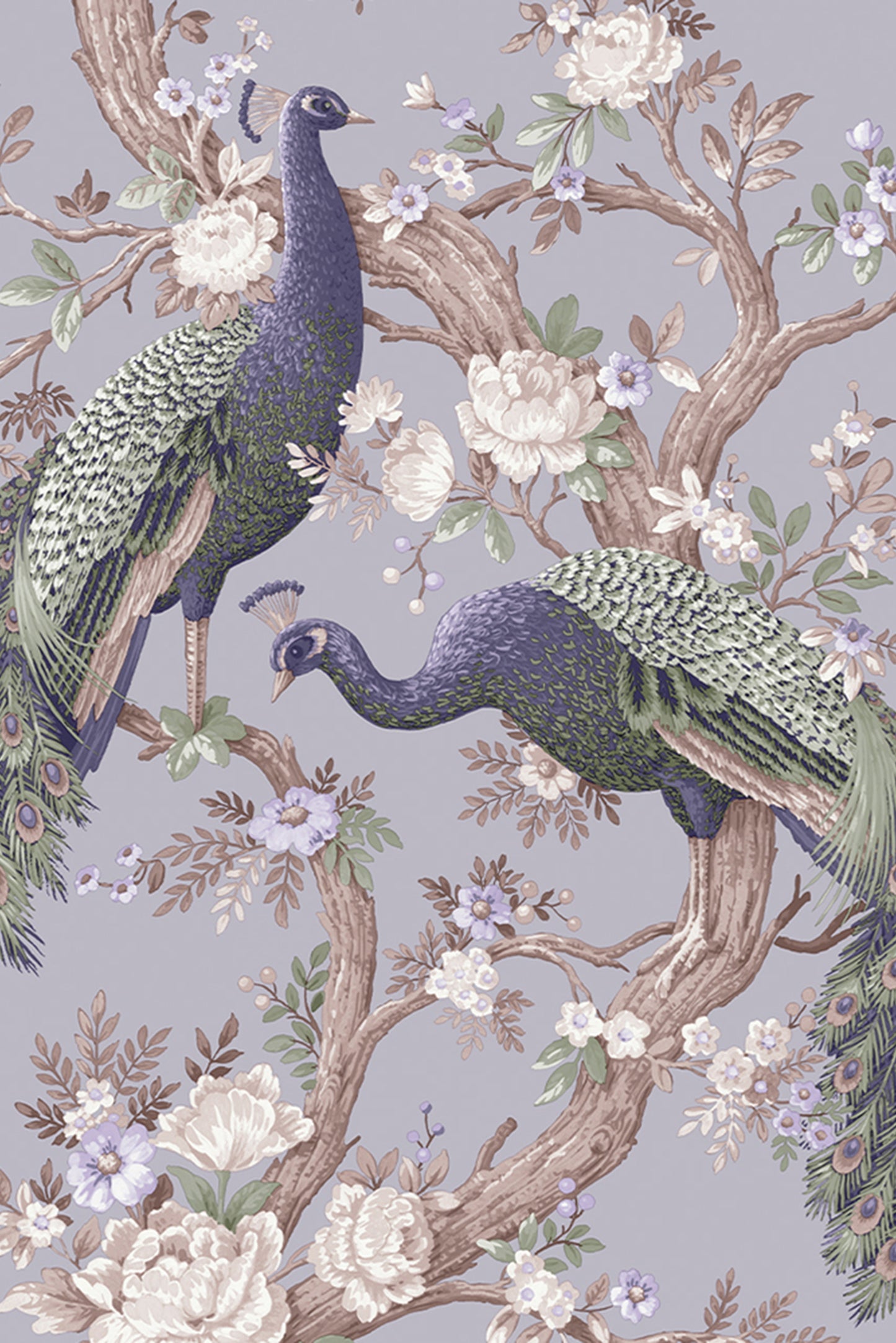Purchase Laura Ashley Wallpaper Pattern number 115253 Belvedere Pale Iris