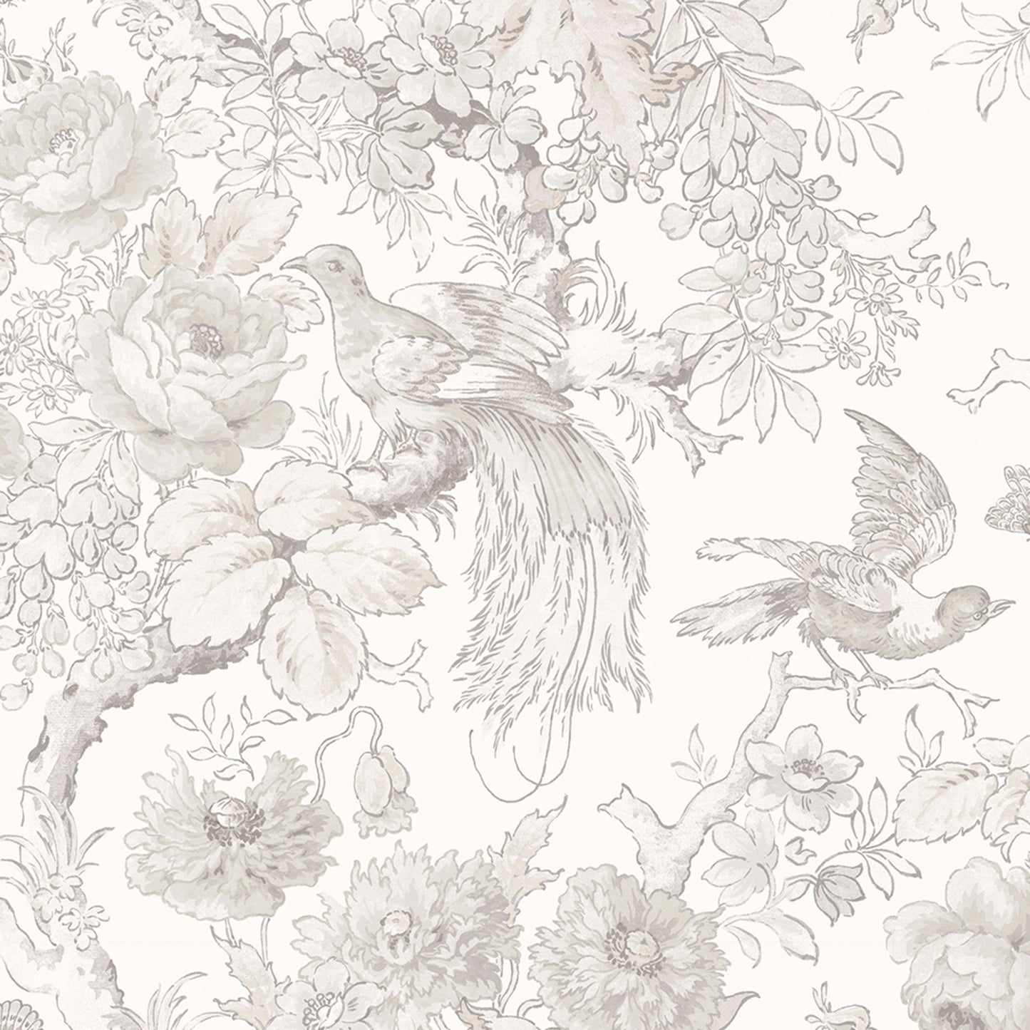 Purchase Laura Ashley Wallpaper Pattern 117805 Birtle Dove Grey