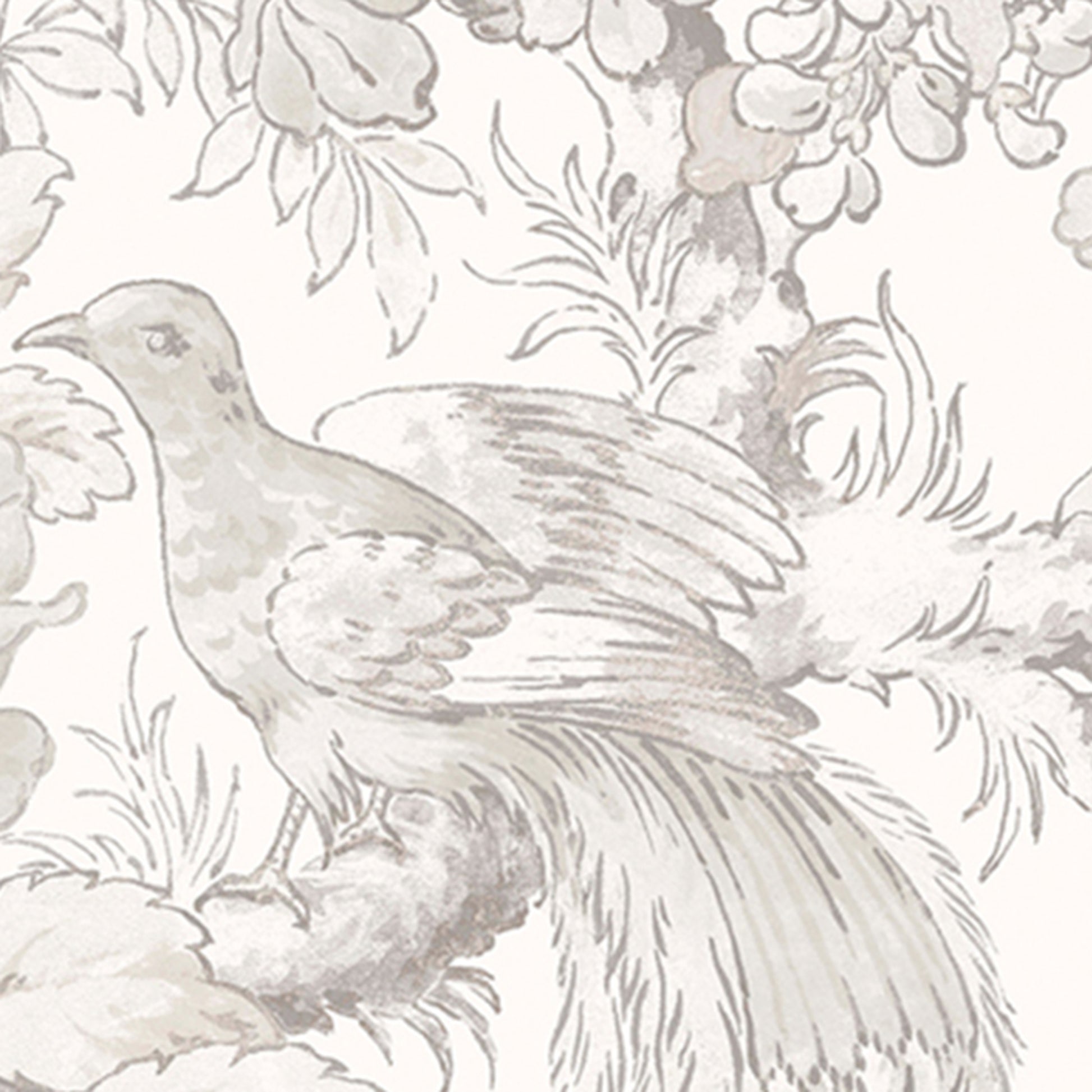 Purchase Laura Ashley Wallpaper Pattern 117805 Birtle Dove Grey