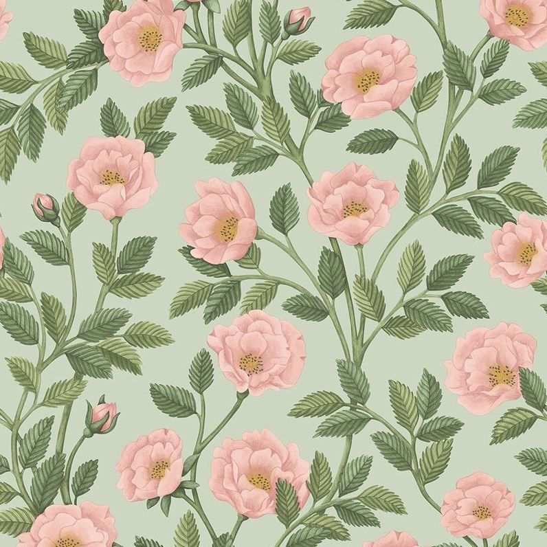 Sample 118/7014 Hampton Roses RandLgrn/Degg Botanical Cole and Son Wallpaper