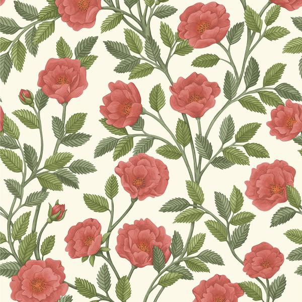 Sample 118/7013 Hampton Roses Multi Color Botanical Cole and Son Wallpaper