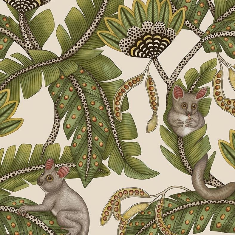 Sample 119/7032 Bush Baby Sprgrn and Mrgld/Stn Animal/Insects Cole and Son Wallpaper