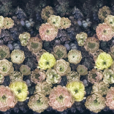 Purchase Pdg1107/02 | Le Poeme De Fleurs - Designer Guild Wallpaper