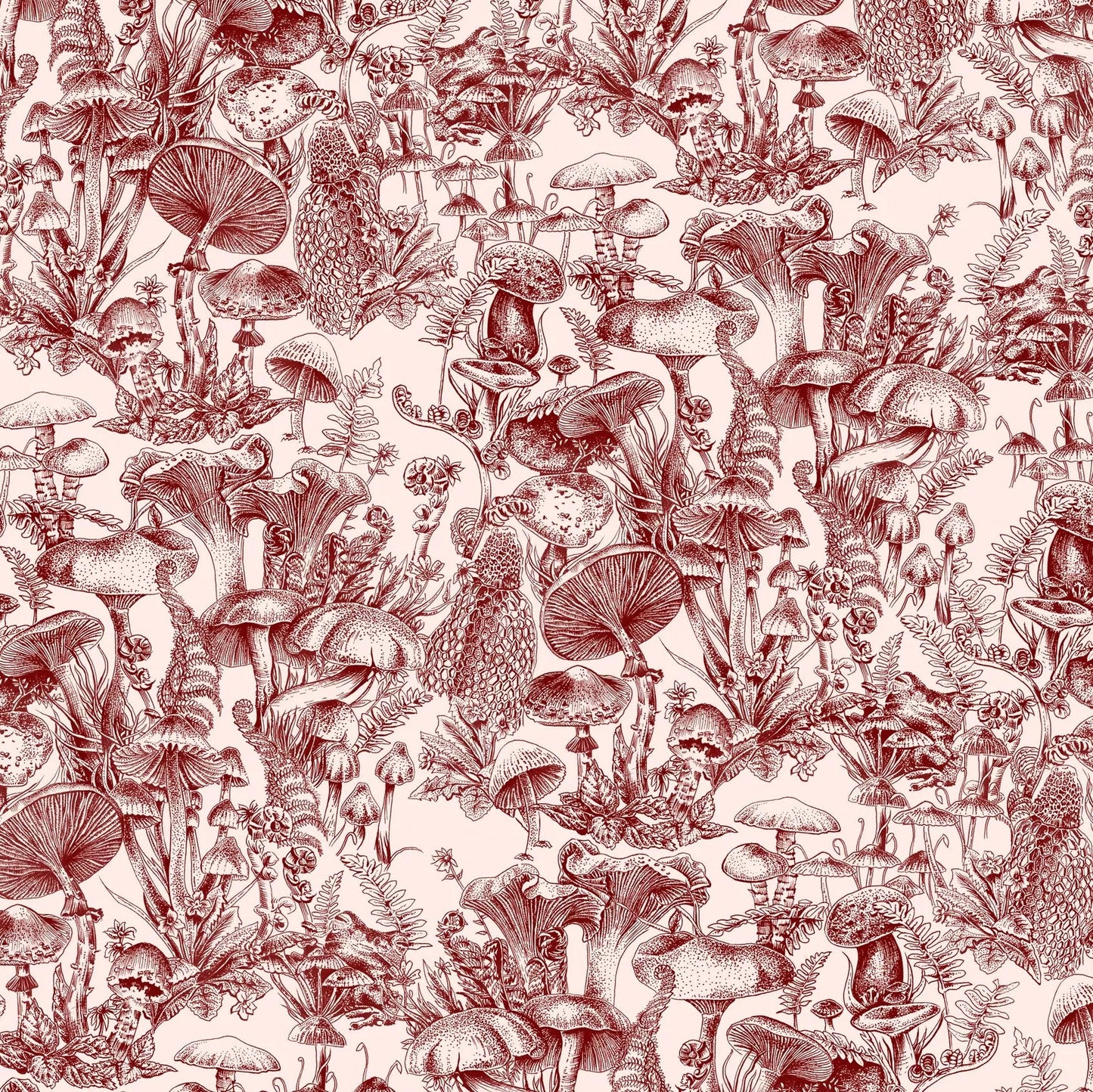 Sample - 122/1001 | Fungi Forest, Stella Mccartney X Cole & Son - Cole & Son Wallpaper