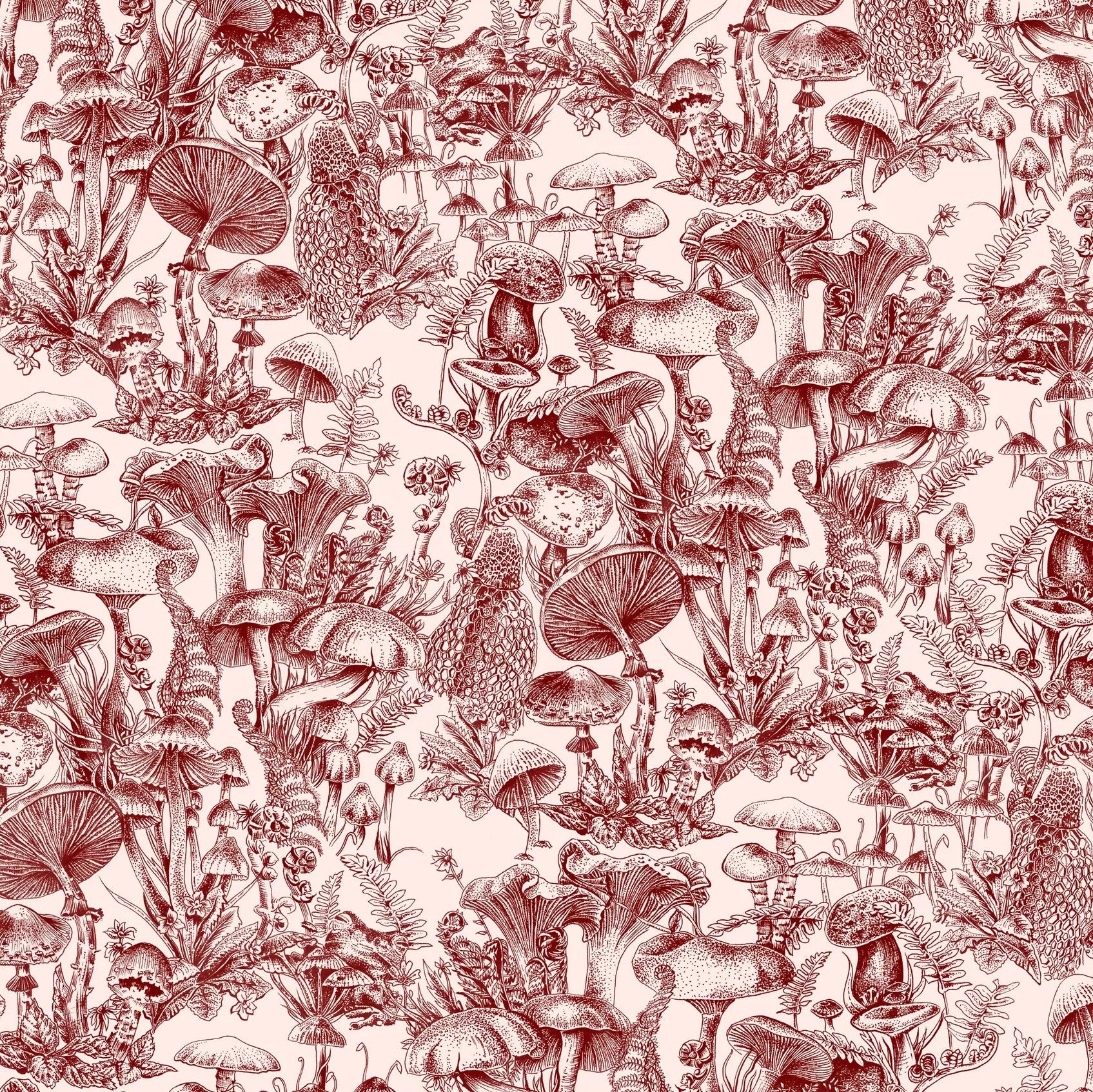 Sample - 122/1001 | Fungi Forest, Stella Mccartney X Cole & Son - Cole & Son Wallpaper